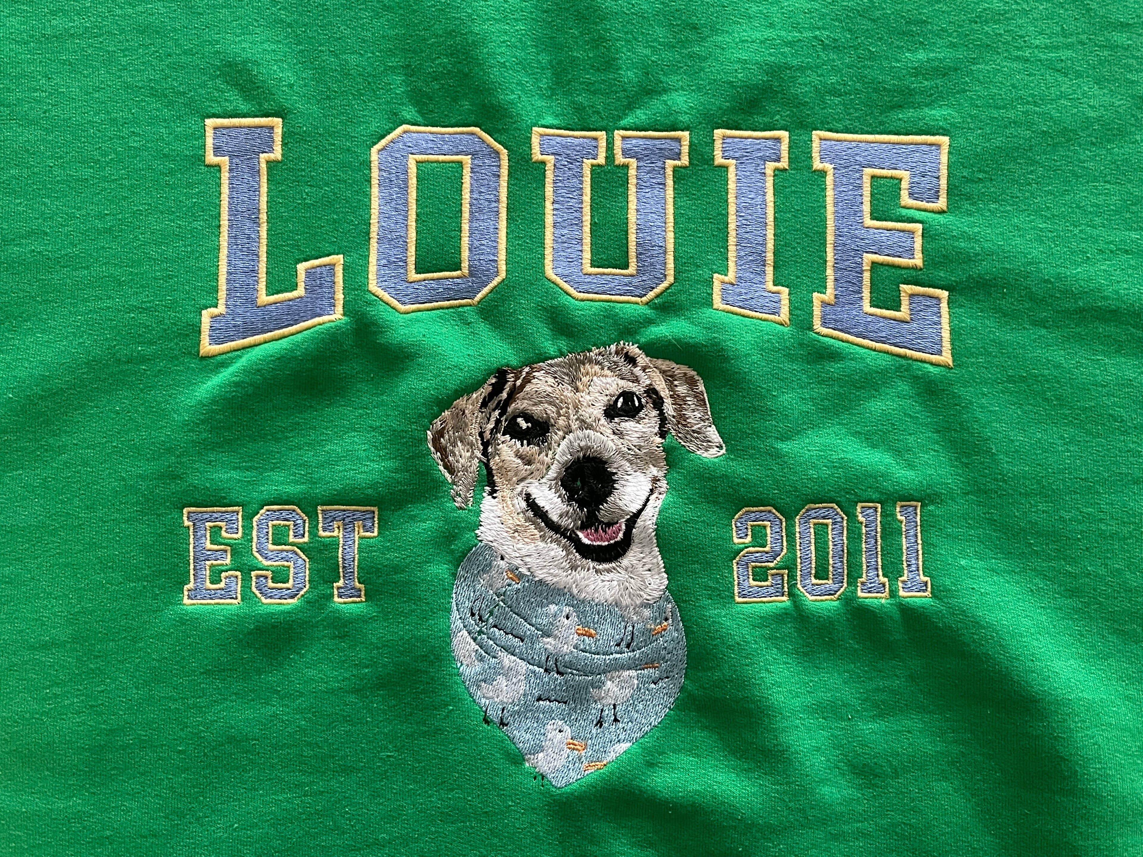 Varsity Custom Pet Quarter Crew